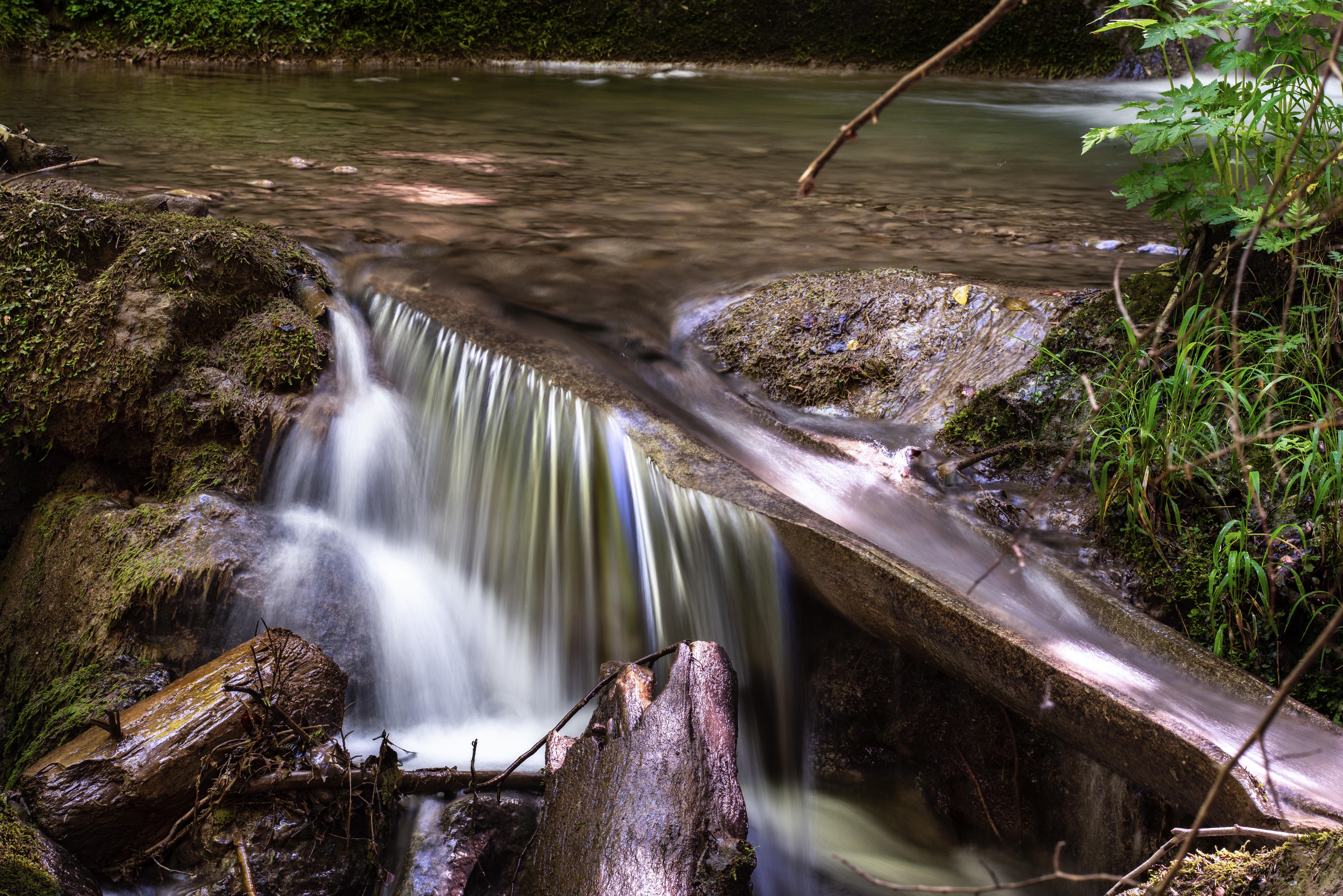 DSC_4546-r