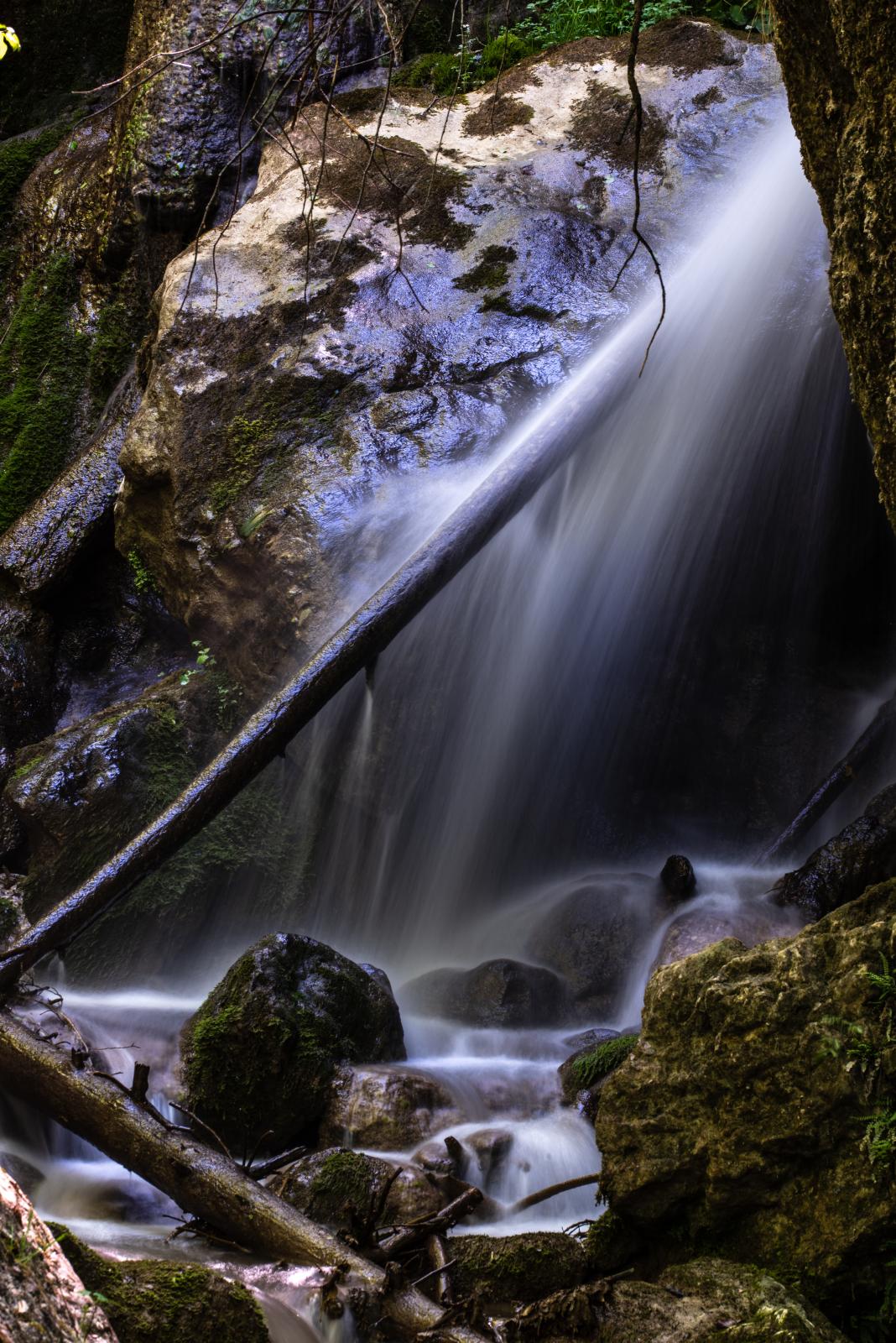 DSC_4569-r